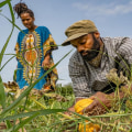 Exploring the Cultural Organizations for African-Americans in Calvert County